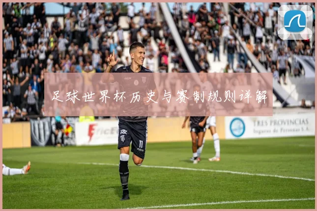 足球世界杯历史与赛制规则详解