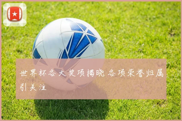 世界杯各大奖项揭晓 各项荣誉归属引关注