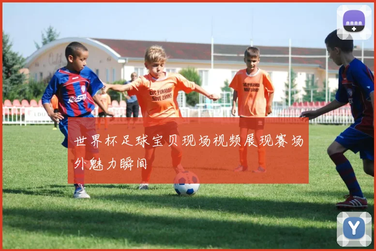 世界杯足球宝贝现场视频展现赛场外魅力瞬间