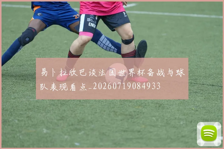 易卜拉欣巴谈法国世界杯备战与球队表现看点_20260719084933
