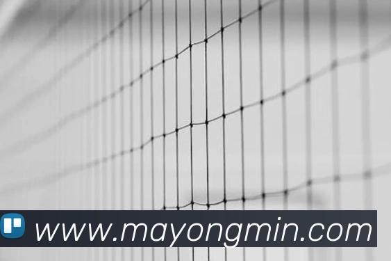 世界杯官网中文版品牌故事