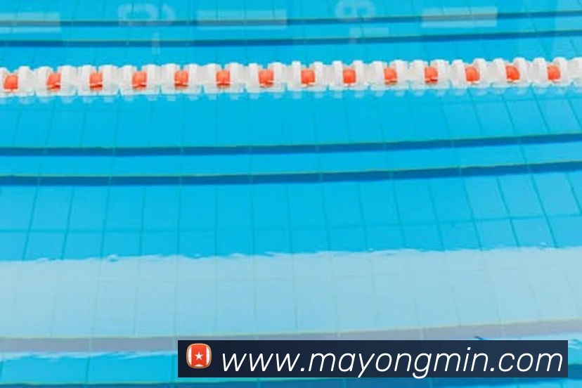 世界杯官网中文版服务体系